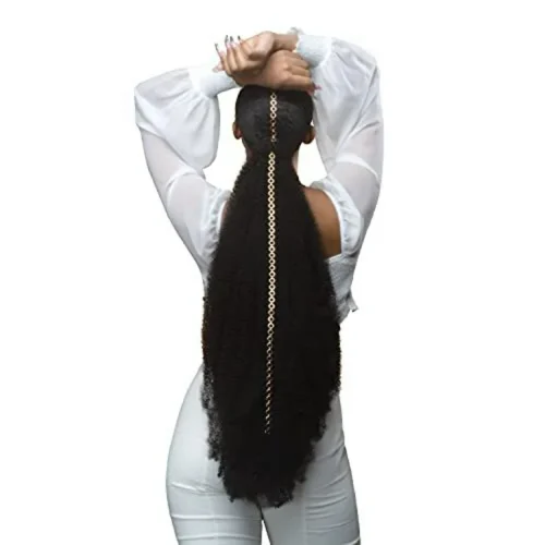 Outre X-Pression Twisted Up Crochet Braid - 3X SPRINGY AFRO TWIST 24"